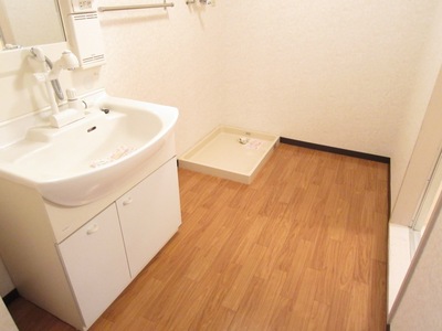 Washroom. Convenient shampoo dresser with a busy morning