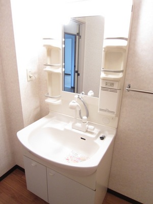 Washroom. Convenient shampoo dresser with a busy morning