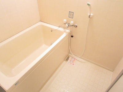 Bath. Economic add-fired function with city gas