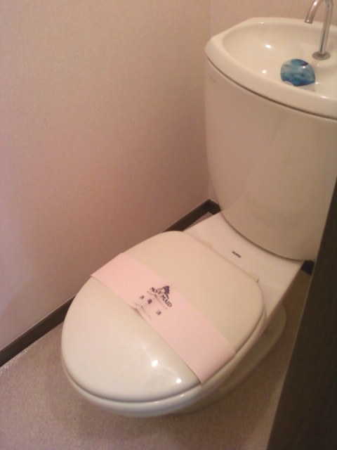 Toilet