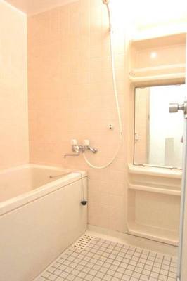 Bath. Economic add-fired function with city gas