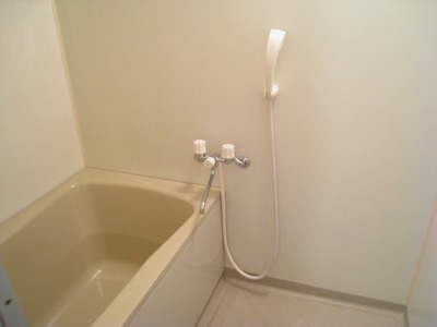 Bath. Tired of the day should be healing here