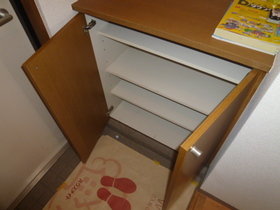 Entrance. It is the front door with a shoe rack.