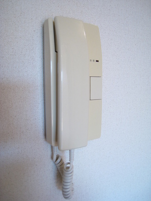 Security. Safely can accommodate visitors with intercom