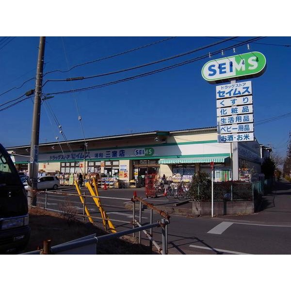 Dorakkusutoa. Drag Seimusu Urawa three-chamber store 556m to (drugstore)