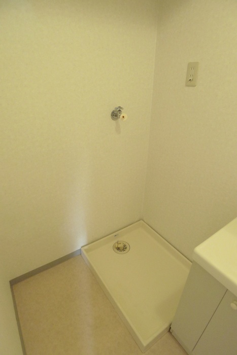 Washroom. Indoor Laundry Storage