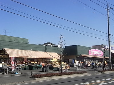 Supermarket. Tsurukame 1200m to land (Super)