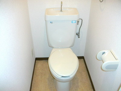 Toilet. Toilet with cleanliness