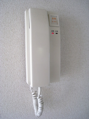 Security. Safely can accommodate visitors with intercom