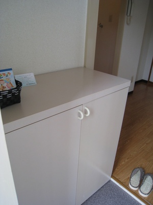 Entrance. Family of shoes here