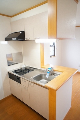 Kitchen. Face-to-face kitchen TV can also dishes while watching