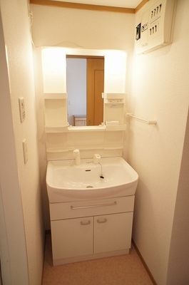 Washroom. Convenient shampoo dresser also busy morning