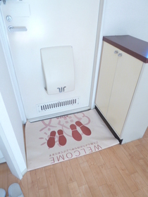 Entrance. It is the front door with a shoe rack.