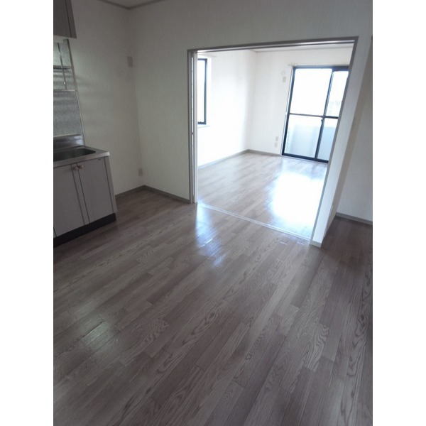 Living and room. DK and south Western-style