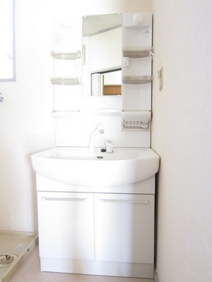 Washroom. Convenient shampoo dresser also busy morning