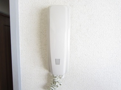 Security. Safely can accommodate visitors with intercom