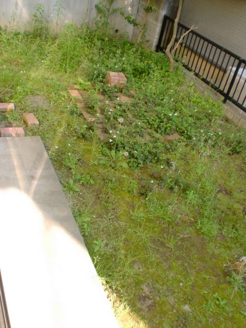 Other room space. You can gardening in the garden.