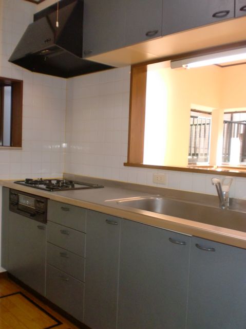 Kitchen. Useful system Kitchen.