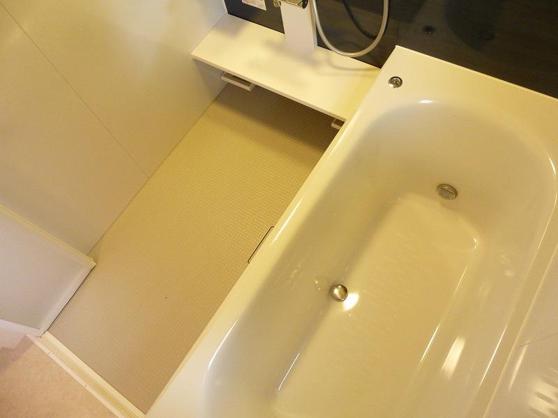 Bathroom. Indoor (11 May 2013) Shooting