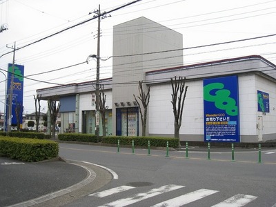 Other. Wonder Goo until the (other) 230m