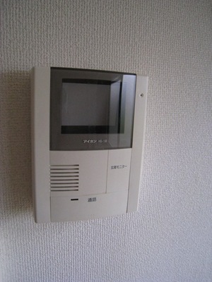 Security. TV monitor with intercom