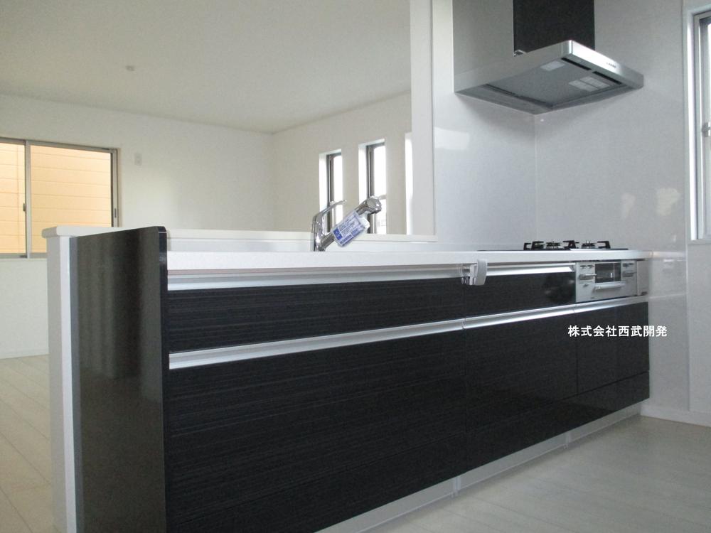 Kitchen. Indoor (11 May 2013) Shooting