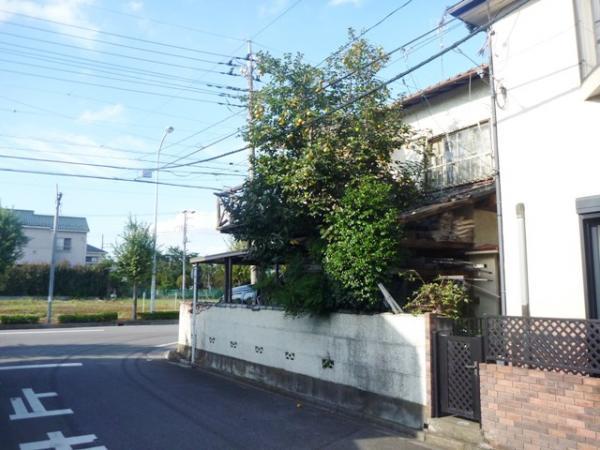 Local photos, including front road