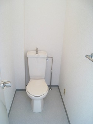 Toilet. Toilet with depth!