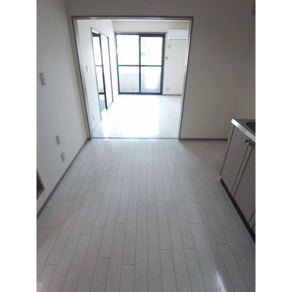 Living and room. DK and south Western-style