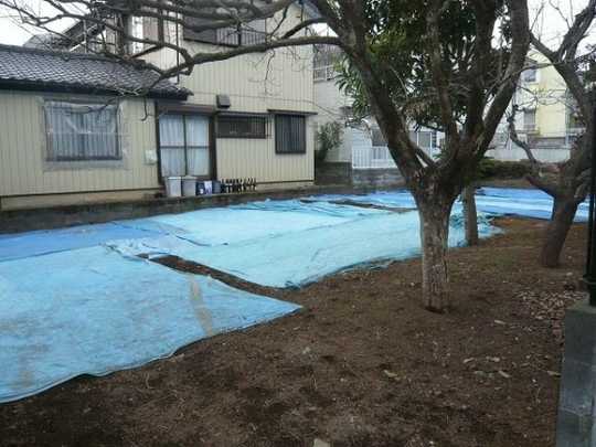 Local land photo. local