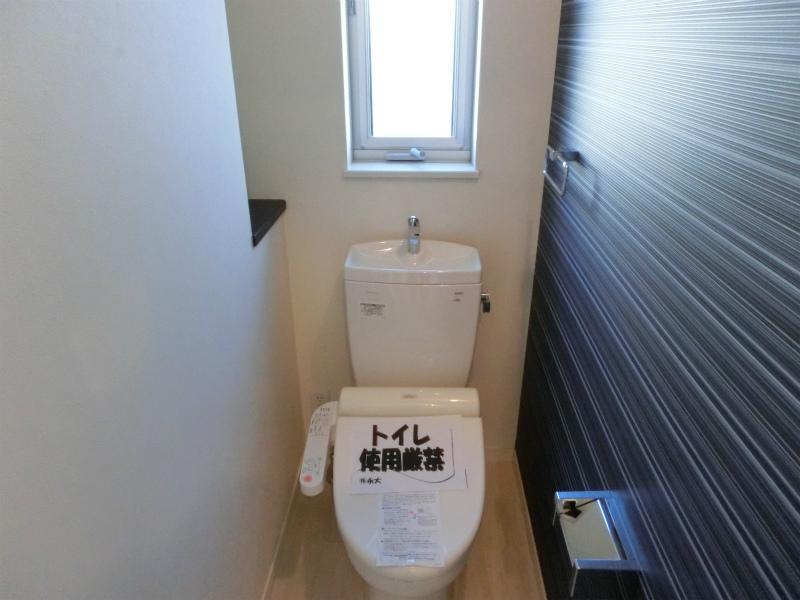 Toilet. Indoor (12 May 2013) Shooting