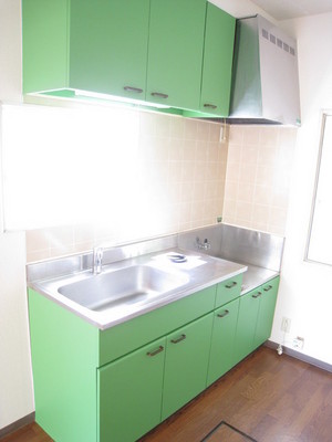 Kitchen. Accent color of the kitchen