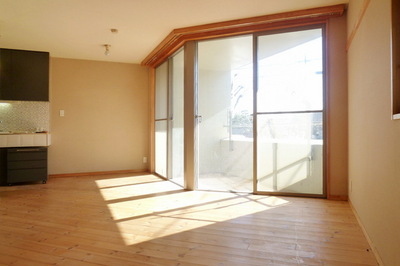 Living and room. Solid wood use warmth of wood friendly.