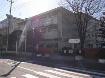 Primary school. 992m until Oma tree elementary school