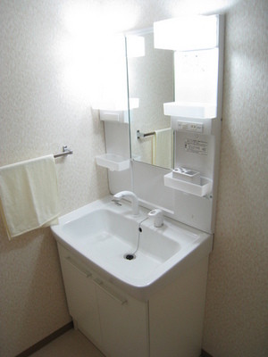 Washroom. Convenient shampoo dresser also busy morning