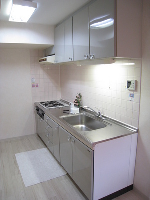 Kitchen. Cooking Easy city gas in the system kitchen with a three-necked grill