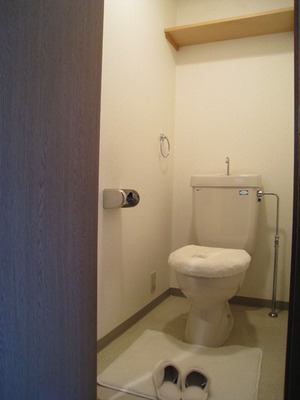 Toilet. Storage shelves and towel rails are happy toilet