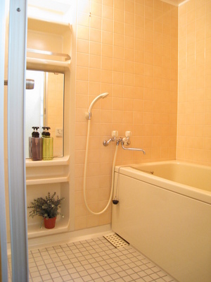 Bath. Economic add-fired function with city gas