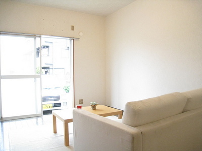 Living and room. Western-style rooms facing the terrace