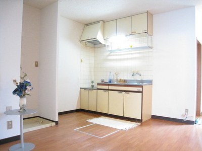 Kitchen. Easy cooking with gas stove installation Allowed