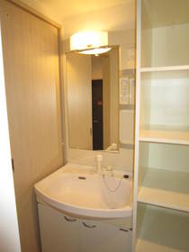 Washroom. Shower Dresser