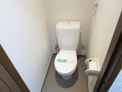 Toilet. There over towel