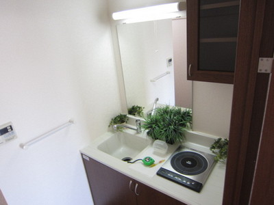 Kitchen. There is one-burner stove