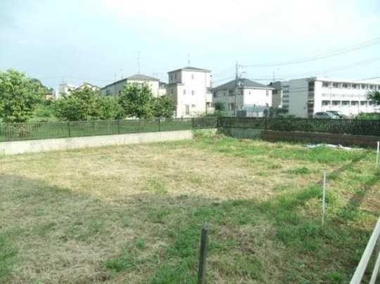 Local land photo. appearance