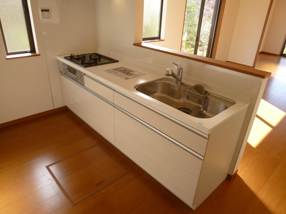 Kitchen. Indoor (11 May 2013) Shooting