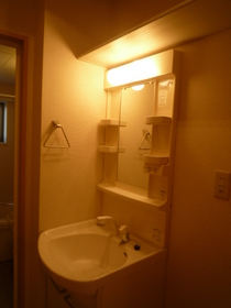 Washroom. Shower Dresser