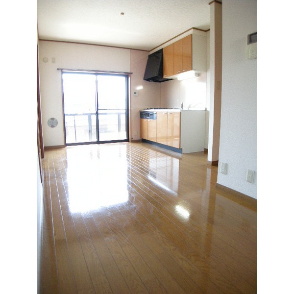 Other room space. LDK