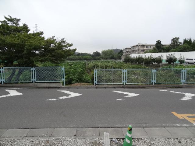 Other. Landscape from the local