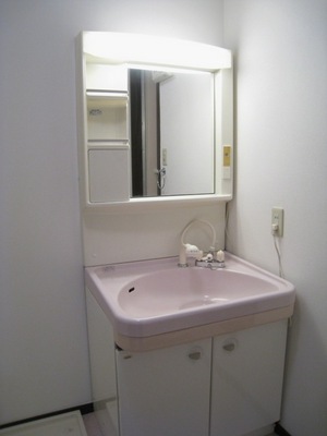 Washroom. Convenient shampoo dresser also busy morning