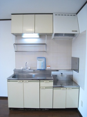 Kitchen. Easy cooking with gas stove installation Allowed